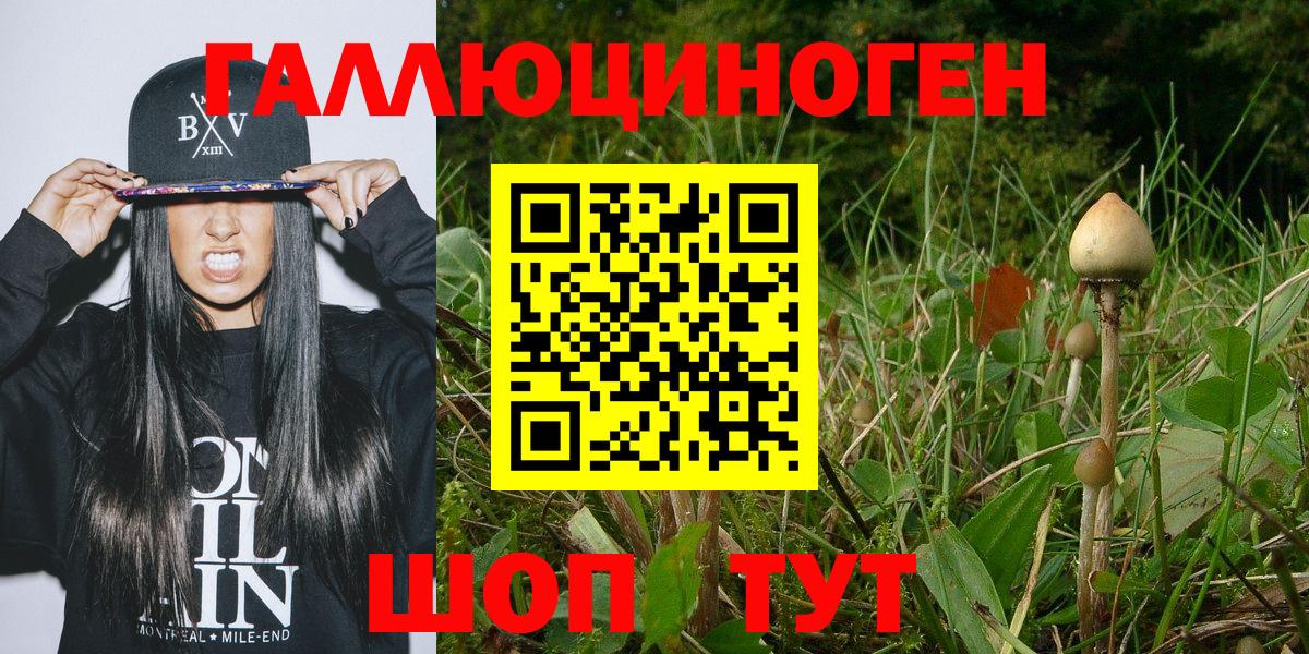 Галлюциногенные грибы Psilocybe  Вход с VPN  Красногорск 