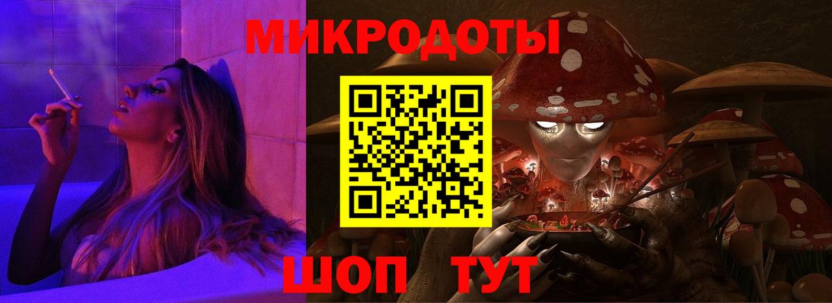 Псилоцибиновые грибы Cubensis Красногорск